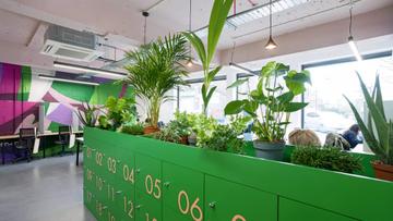 HQ - 25 Effie Road, London